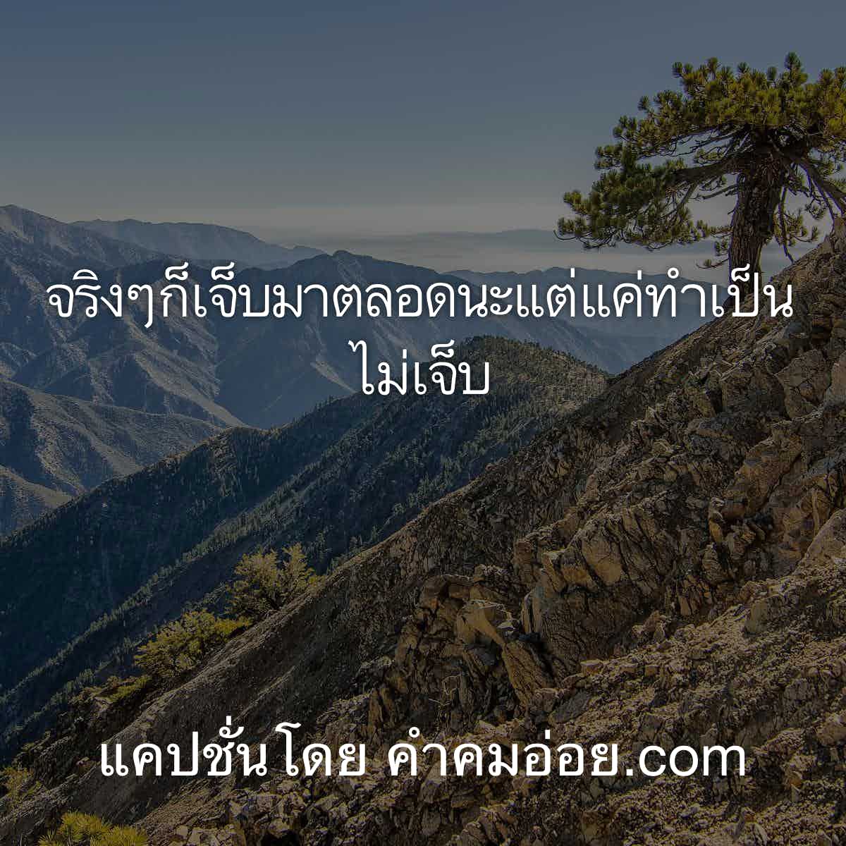 แค๊ปชั่นเด็ด