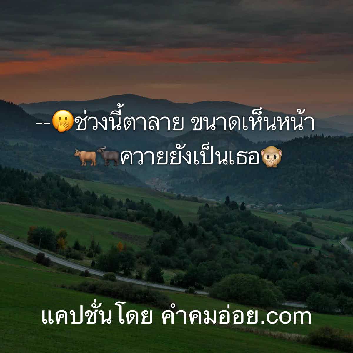 แคปชั่นความรู้สึก