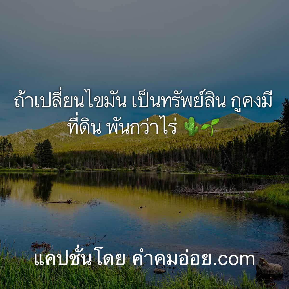 แคปชั่น2020