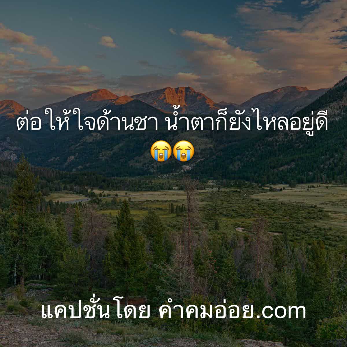แคปชั่น2020