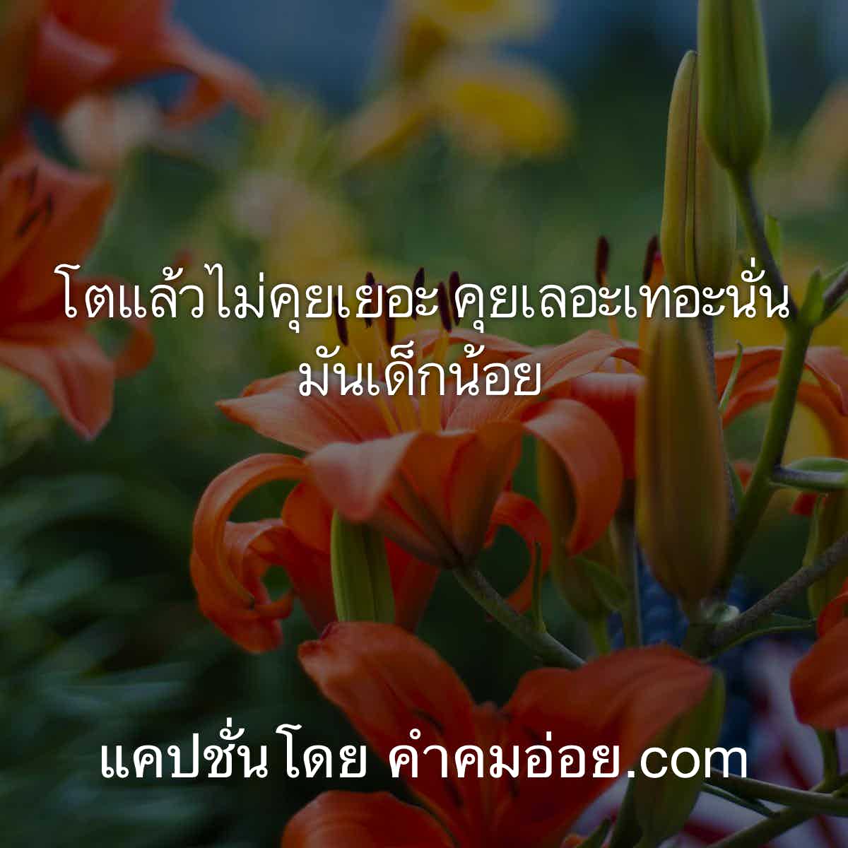 แคปชั่นกวนตีน
