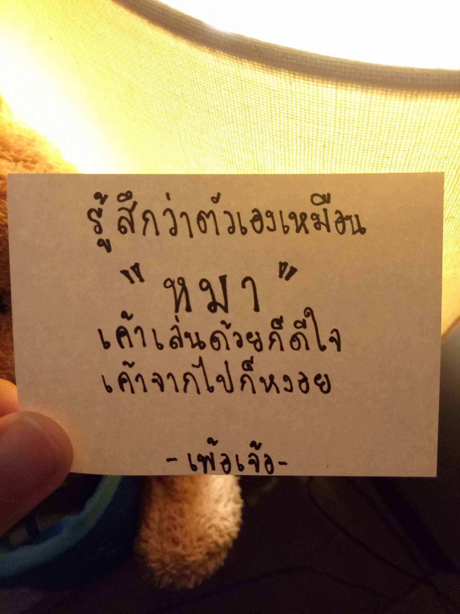 แคปชั่นเสี่ยวๆ
