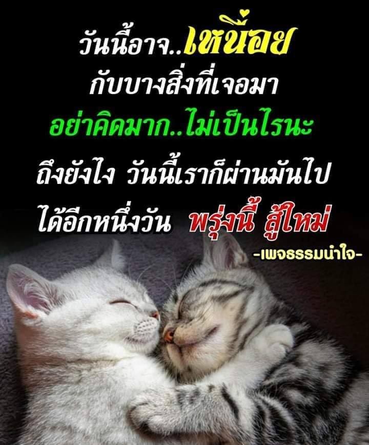 แคปชั่นอ้วน