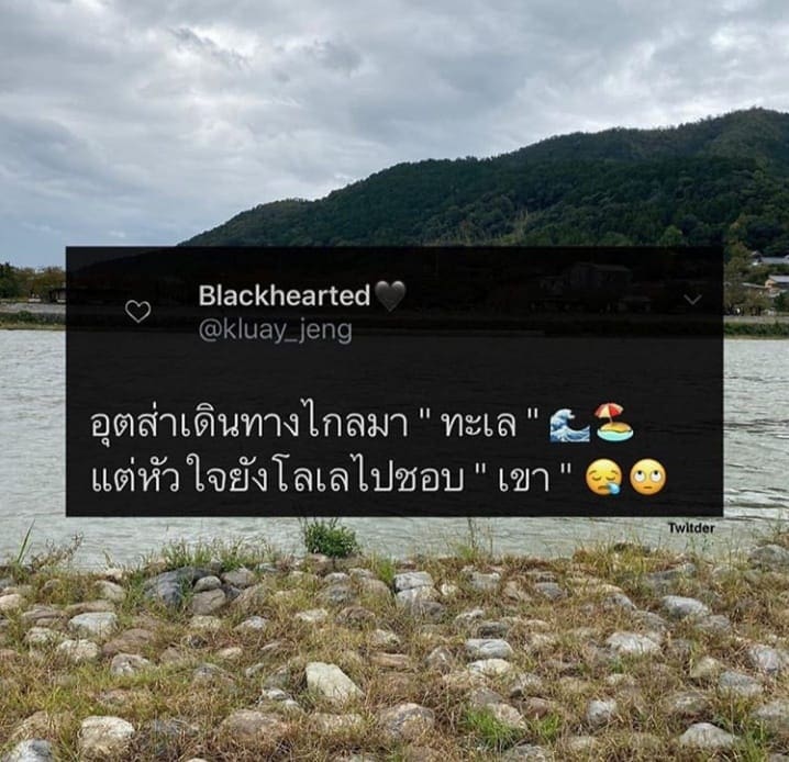ชอบดิ