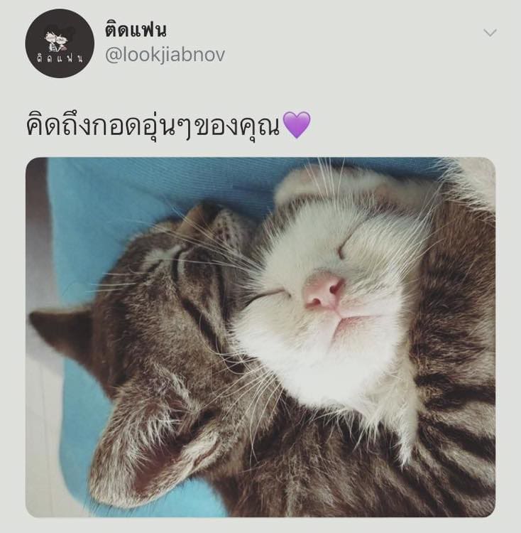 แคปชั่นหนาว
