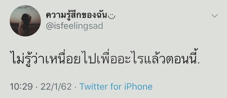 แคปชั่นโสด