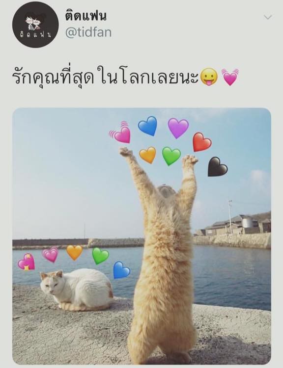 แคปชั่นทะเล
