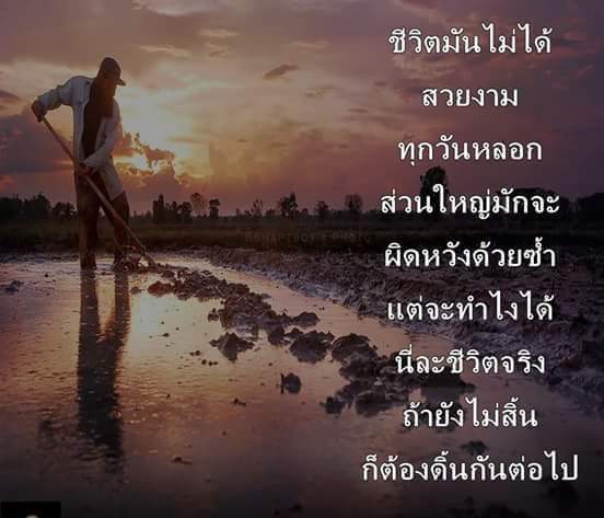 แคปชั่นทะเล