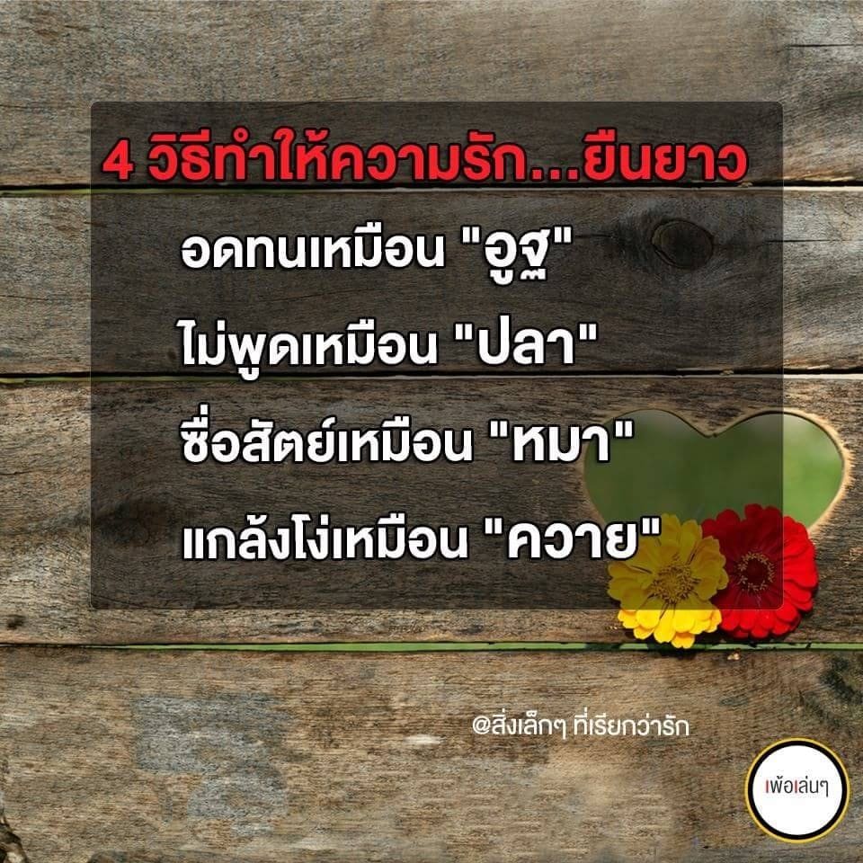 แคปชั่นกวนตีน