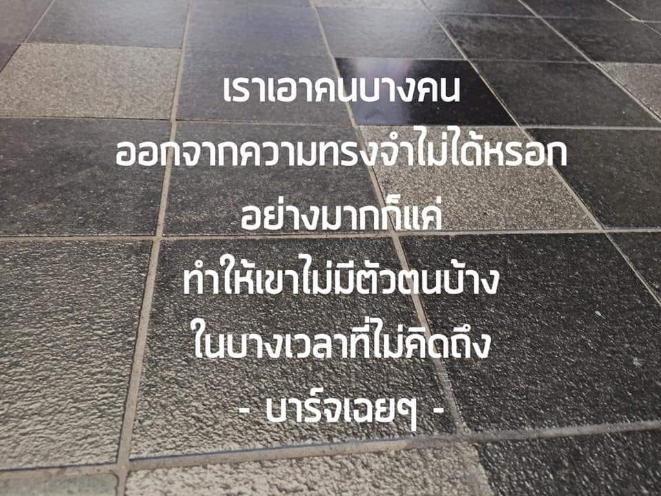 แคปชั่นโสด