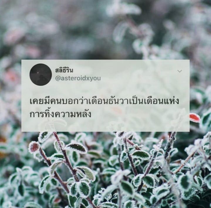 แคปชั่นด่าคน