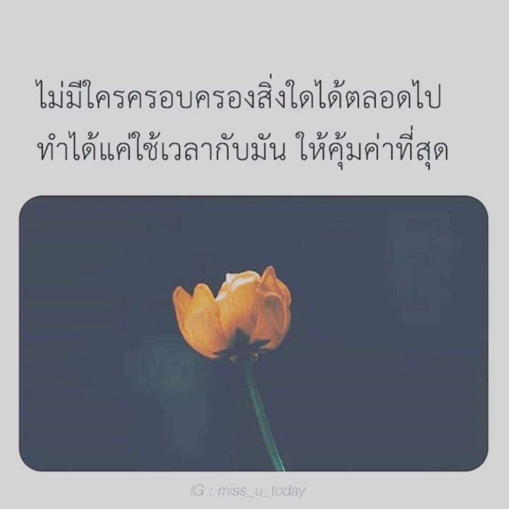แคปชั่น2020