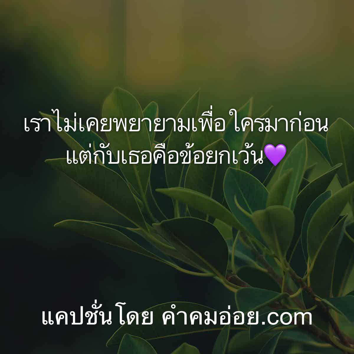 แคปชั่นปีใหม่