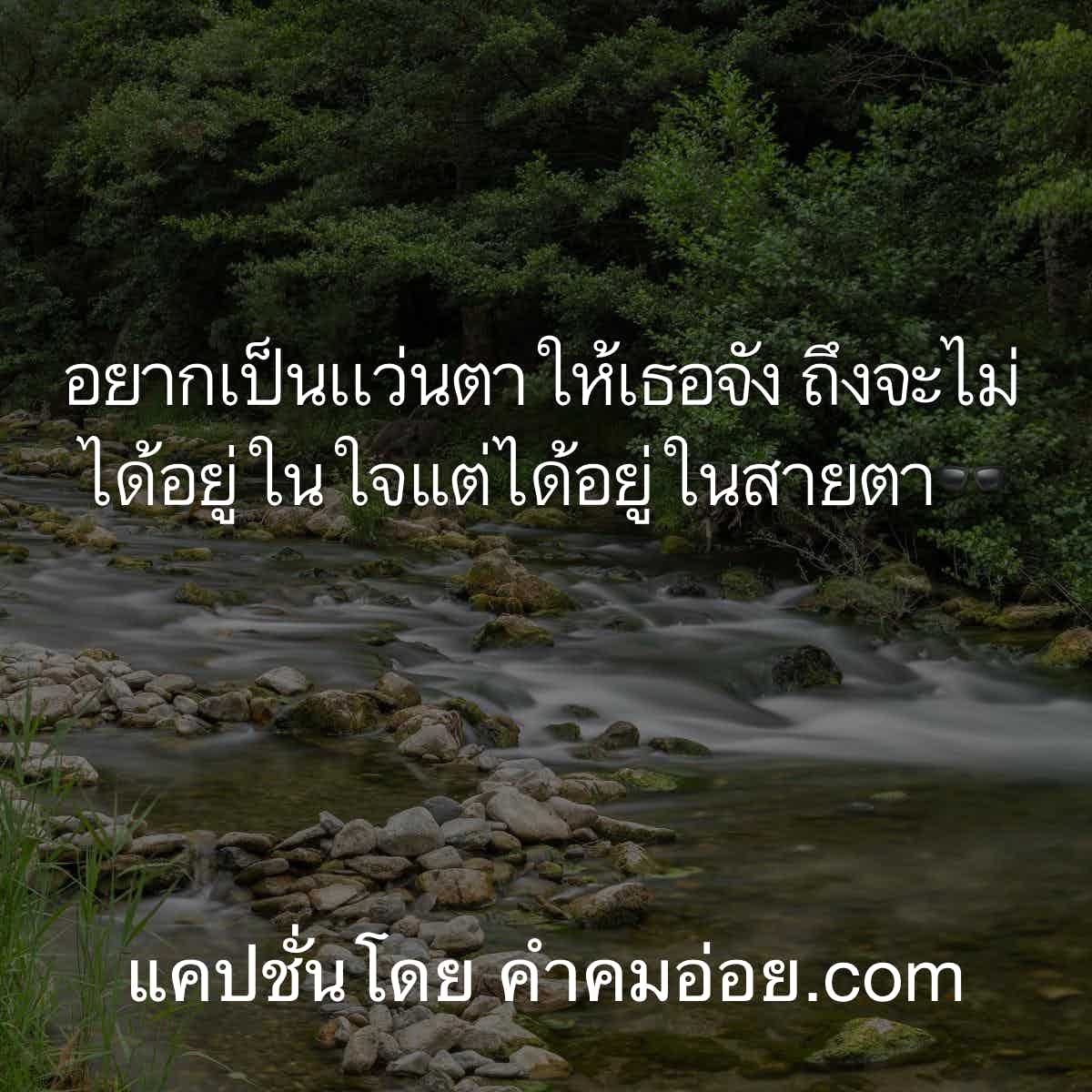 แคปชั่น
