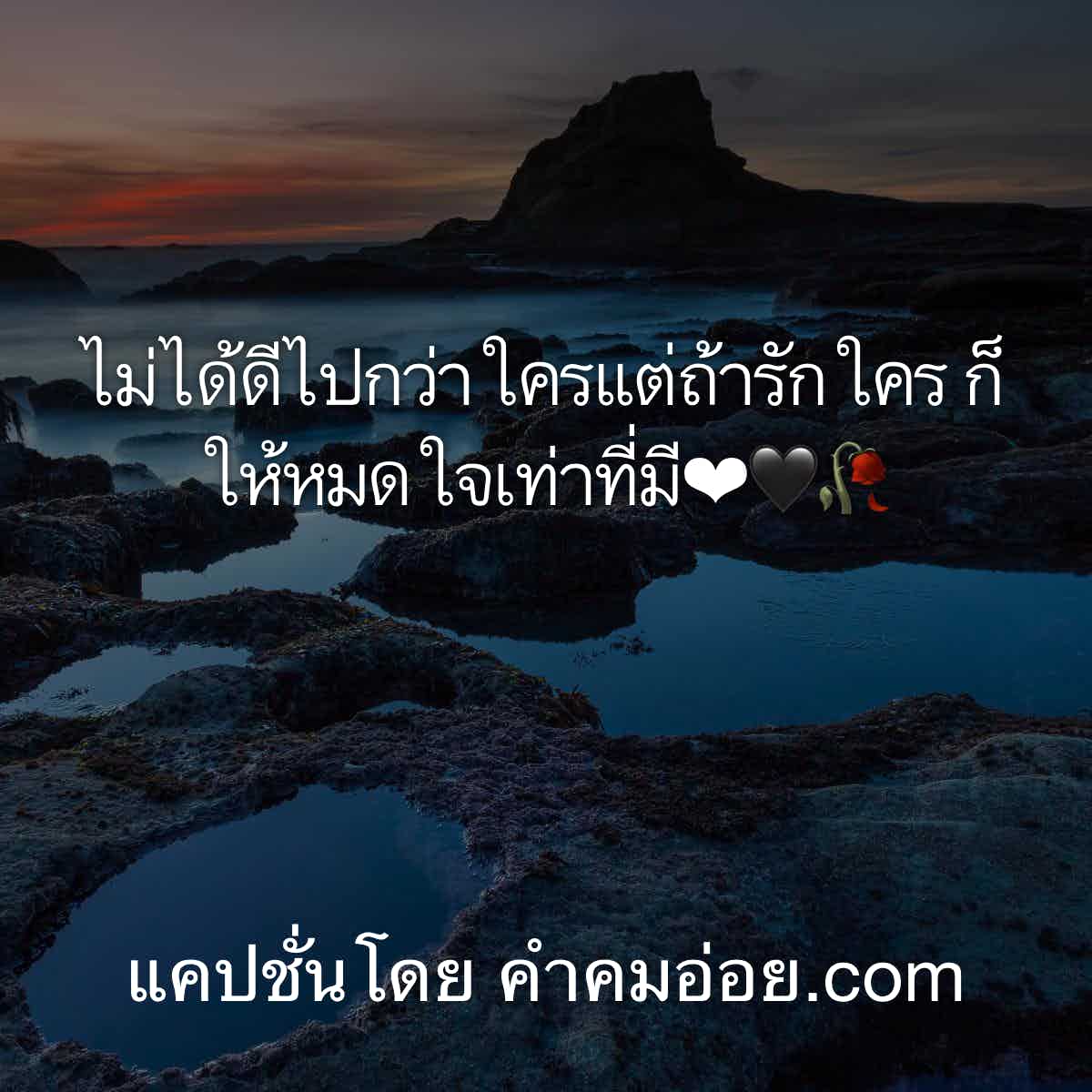 แคปชั่นโสด