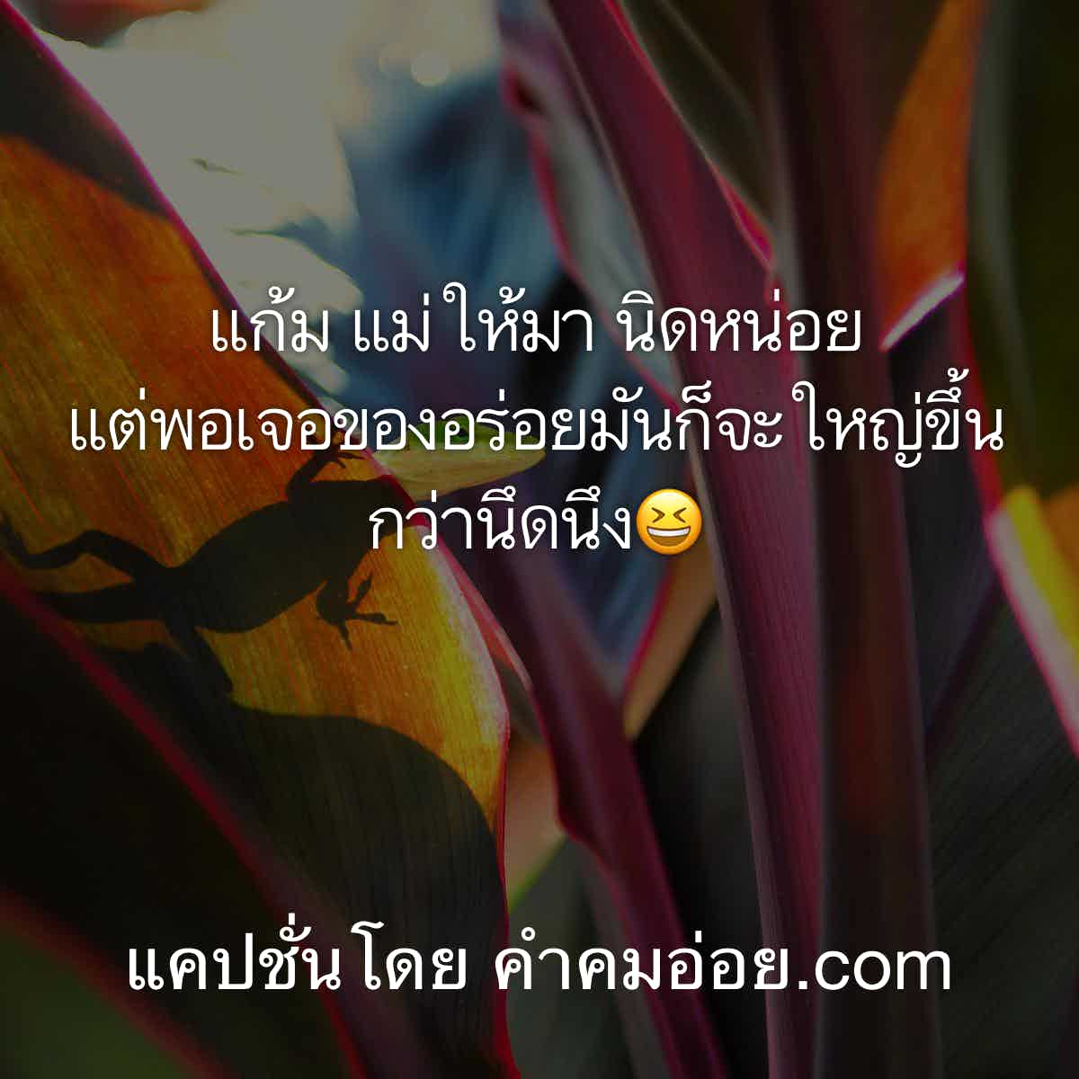 แคปชั่นโดนๆ