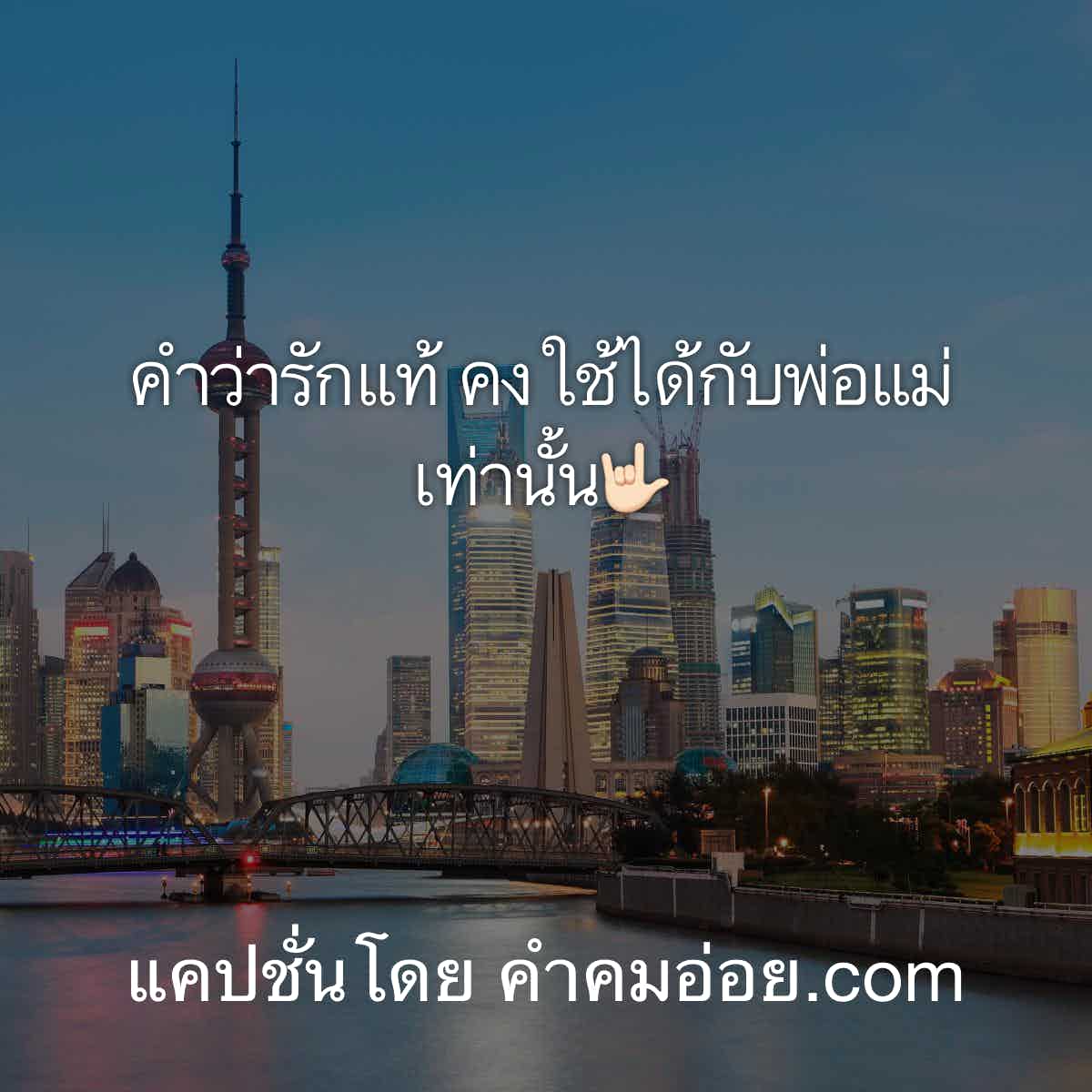 แคปชั่นโสด