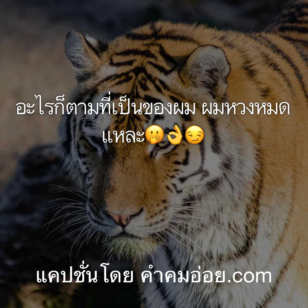 เฉียบ