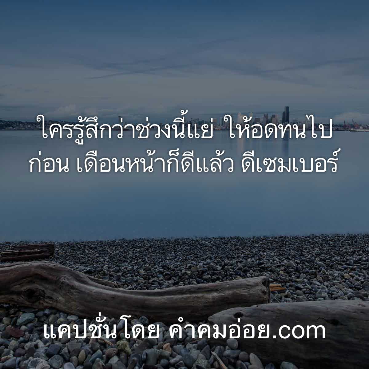 แคปชั่นกวนตีน