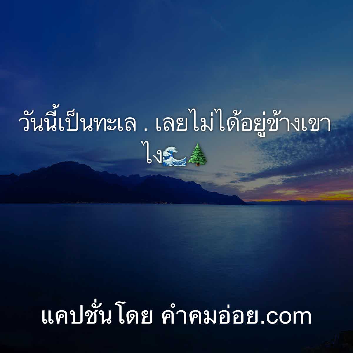 แคปชั่น