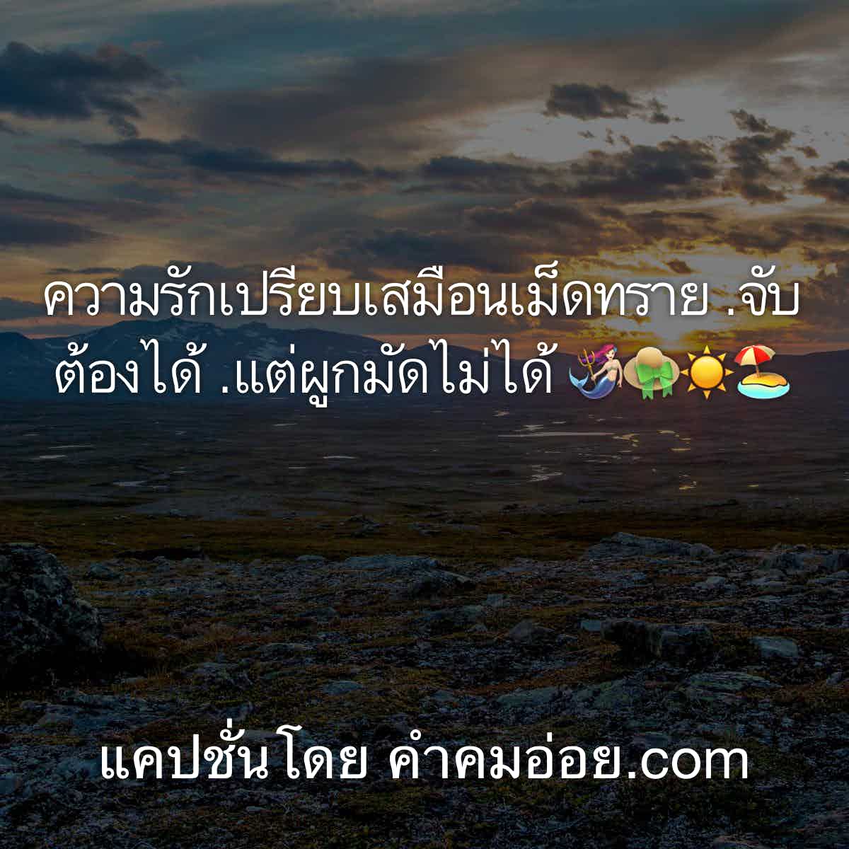 แคปชั่น
