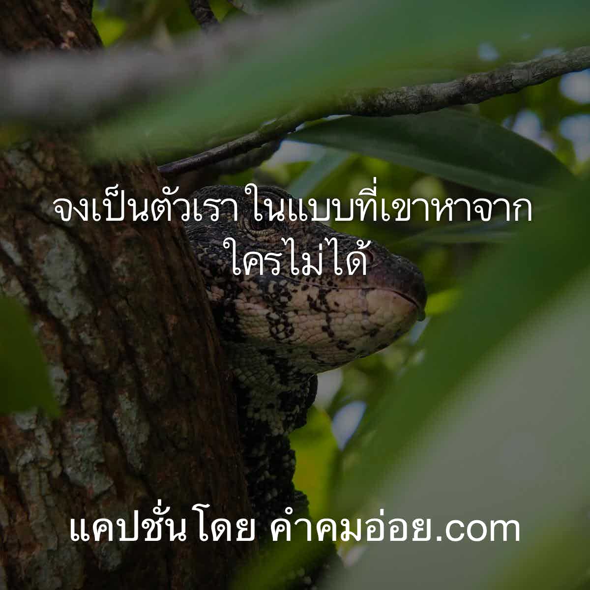 คำคมอกหัก