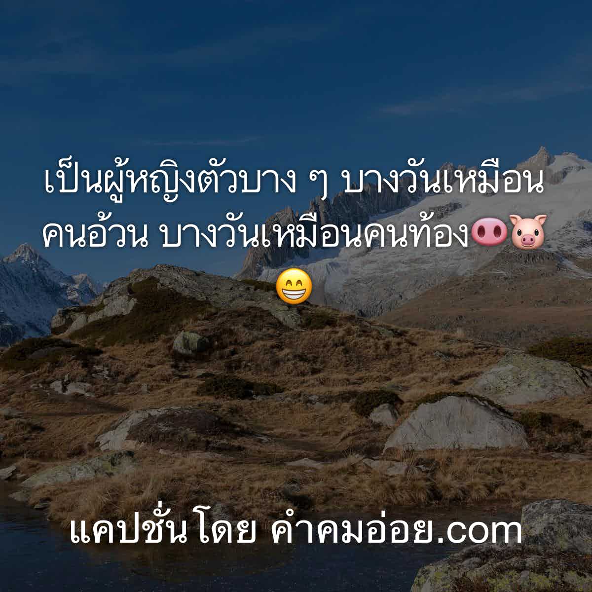 แคปชั่นกวนตีน