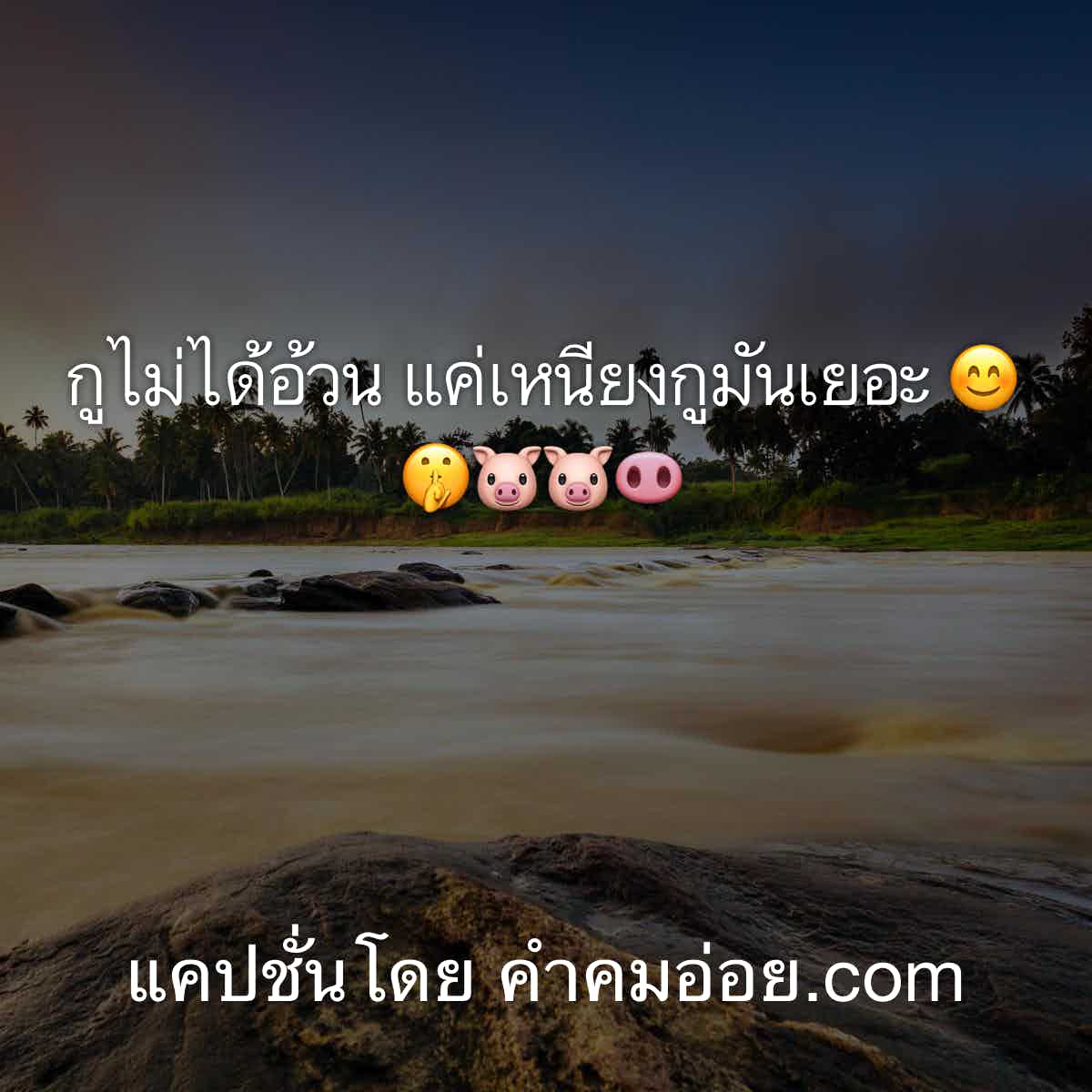 แคปชั่น