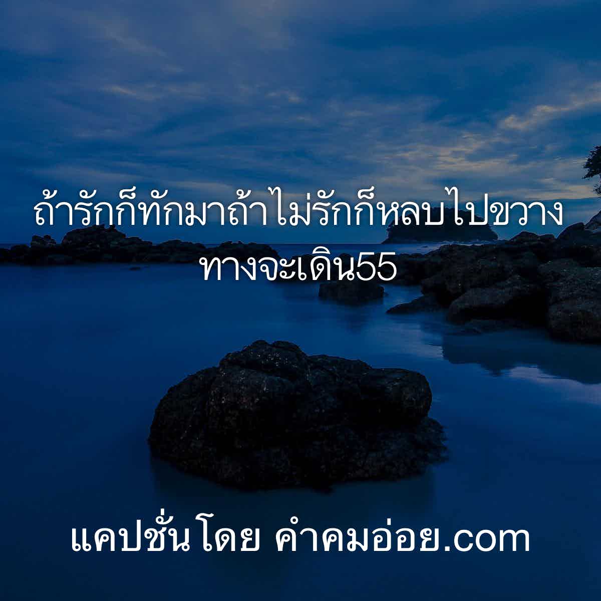 แคปชั่นหมู