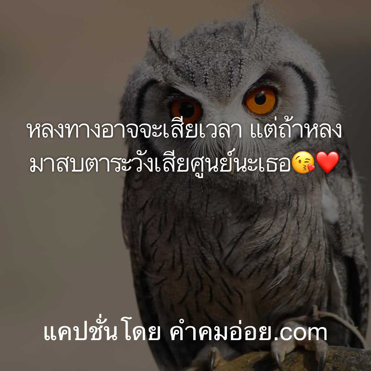 แคปชั่นคิดถึง