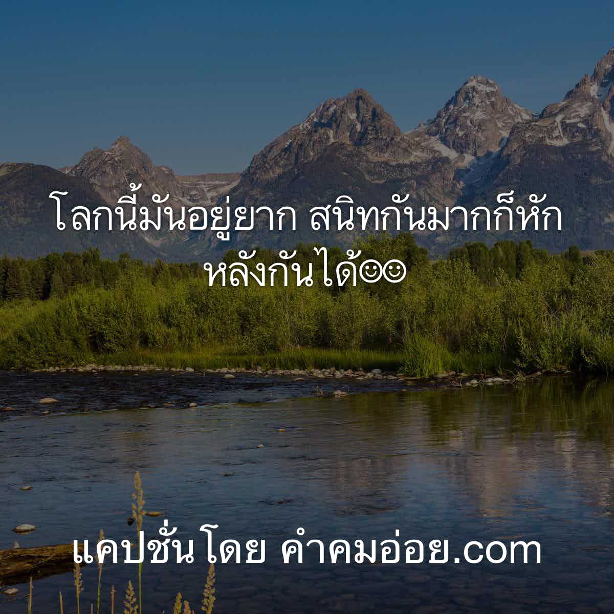 แคปชั่นโสด