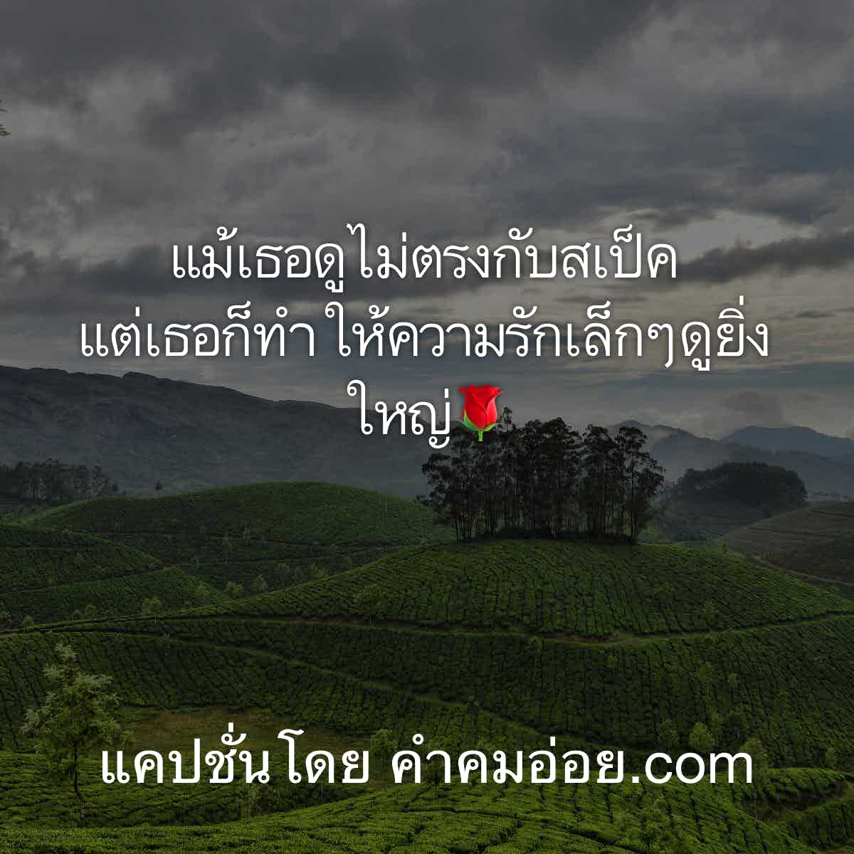 แคปชั่นฮา
