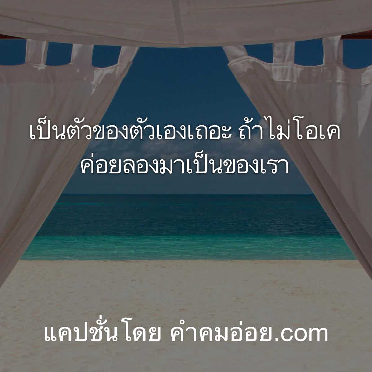 แคปชั่นโสด