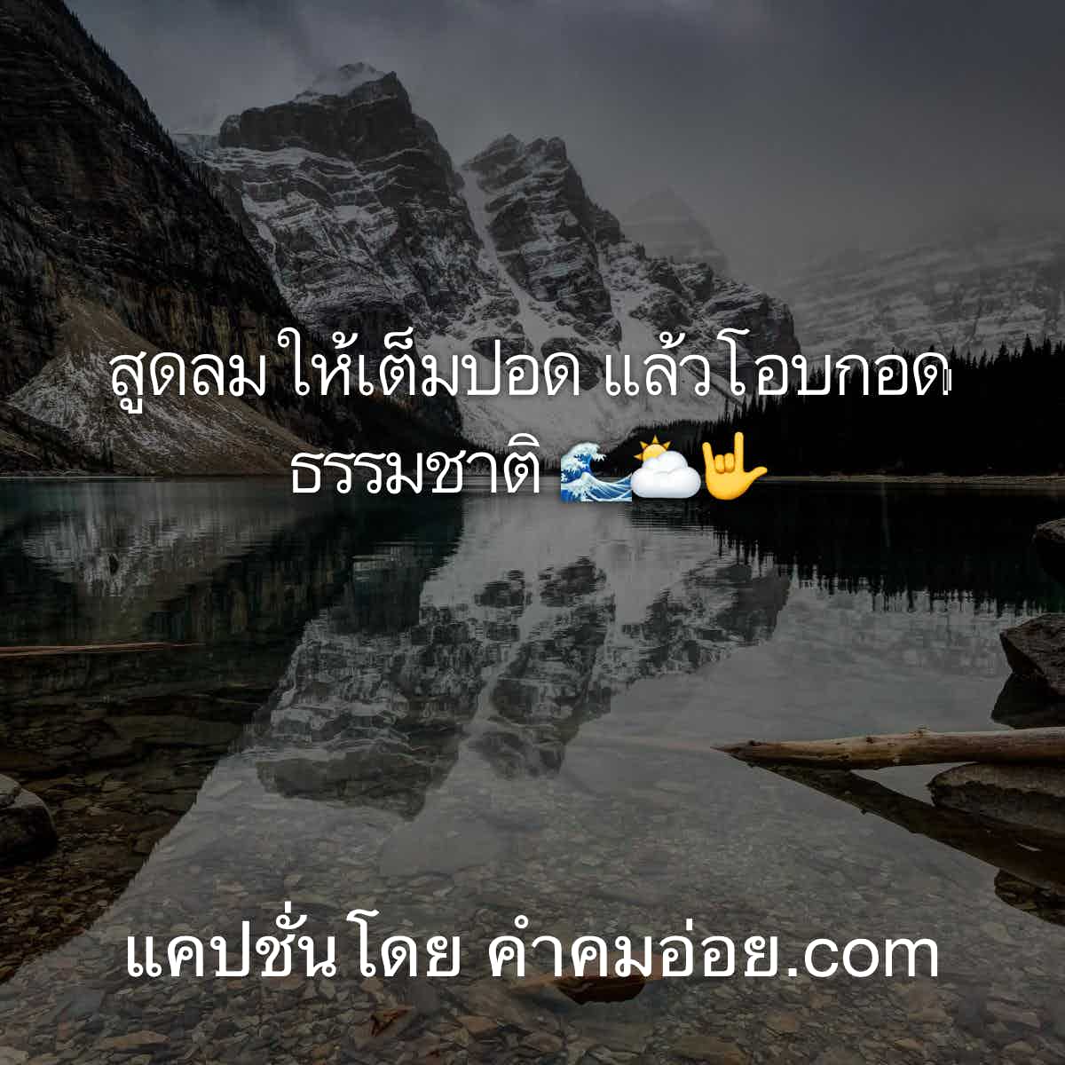 แคปชั่นฮา