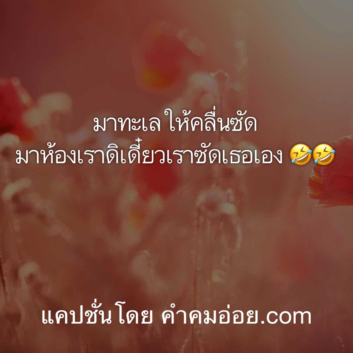 แคปชั่นทะเล