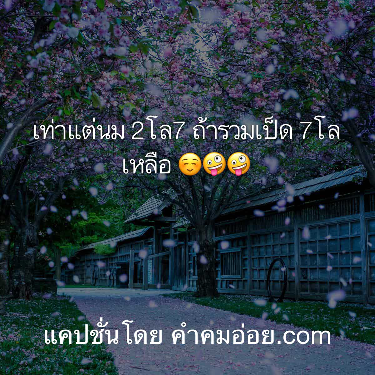 แคปชั่นเสี่ยว