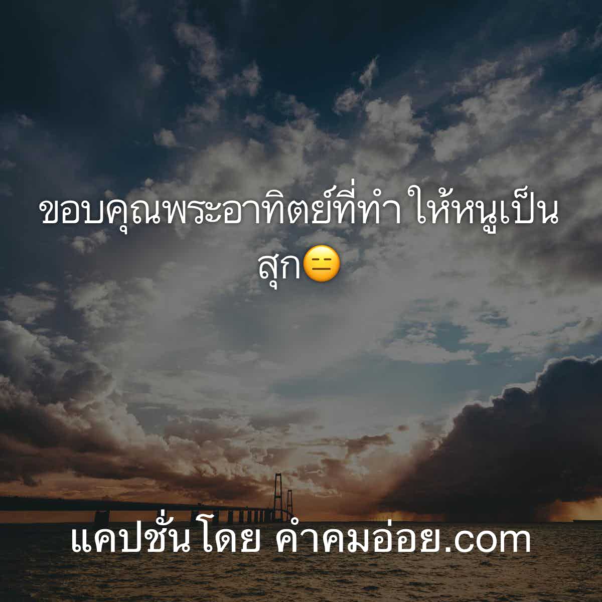 แคปชั่นคนโสด