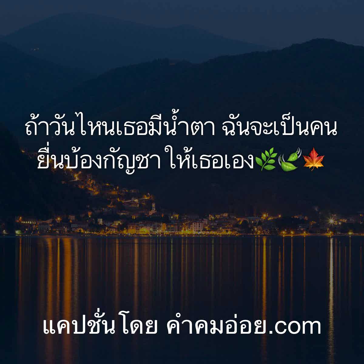 แคปชั่นกวนตีน