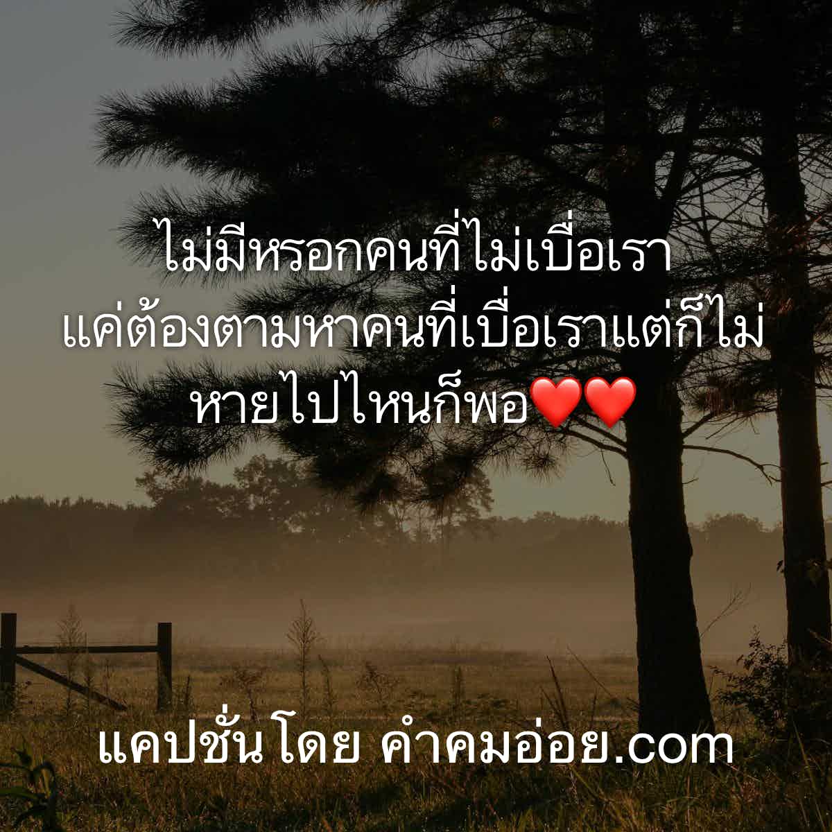 แคปชั่น