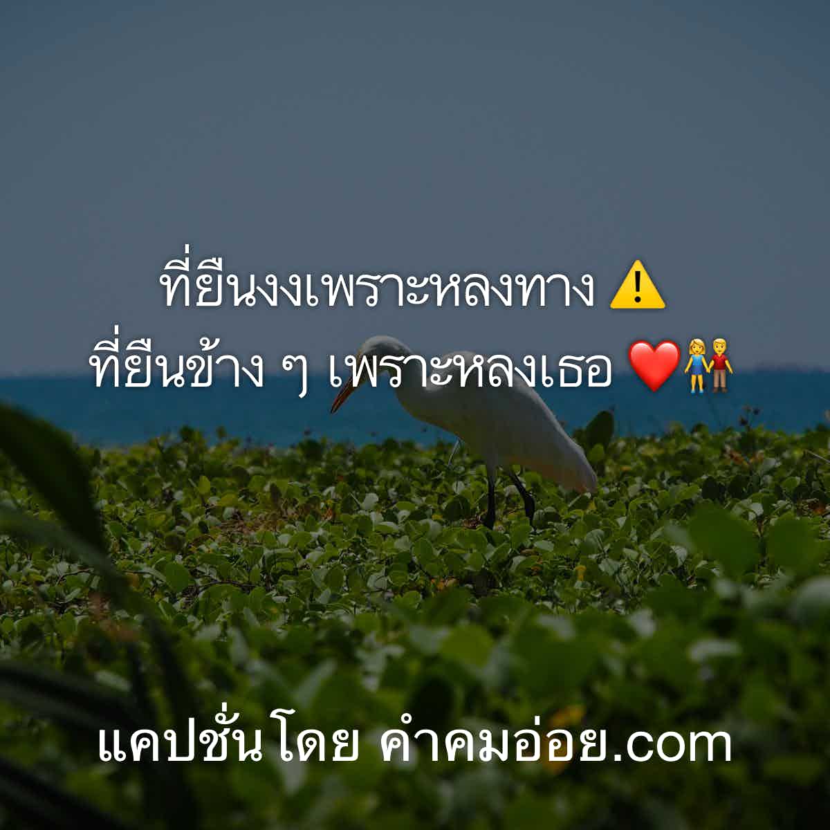 แคปชั่นโสด