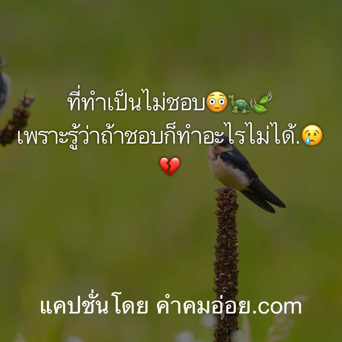 แคปชั่นความรู้สึก