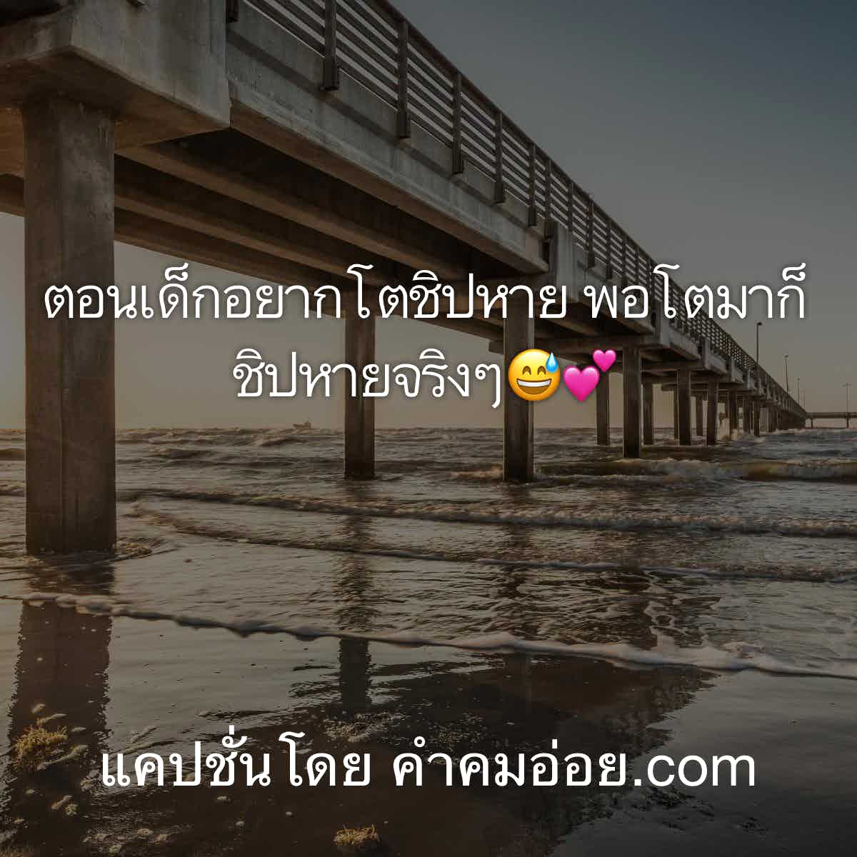 แคปชั่นกวนตีน