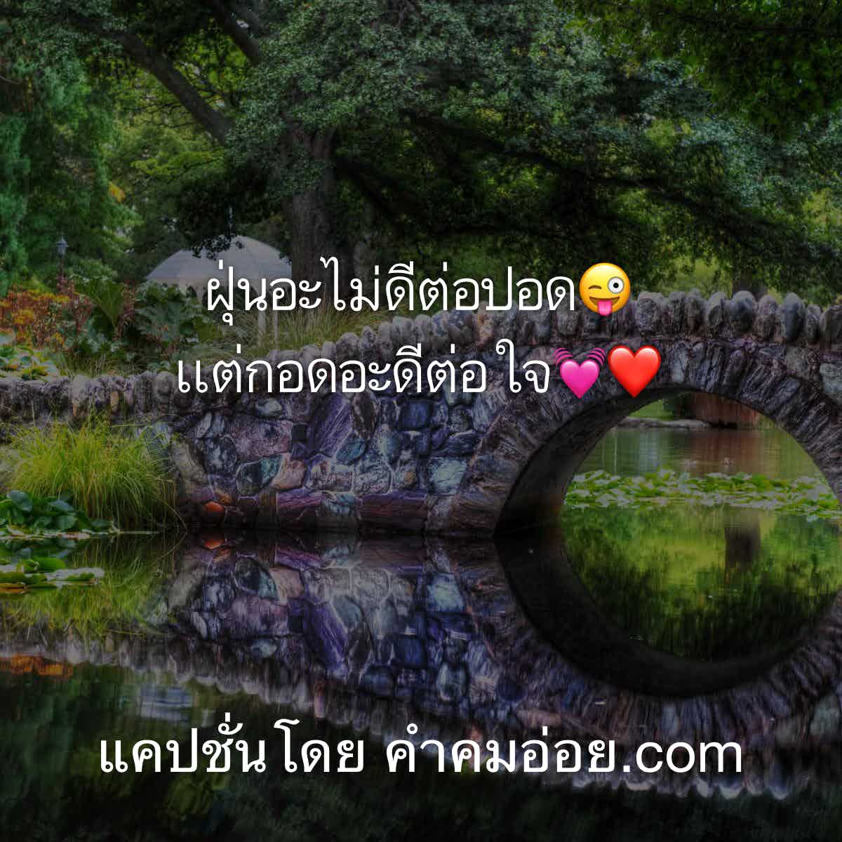 เเคปชั่น