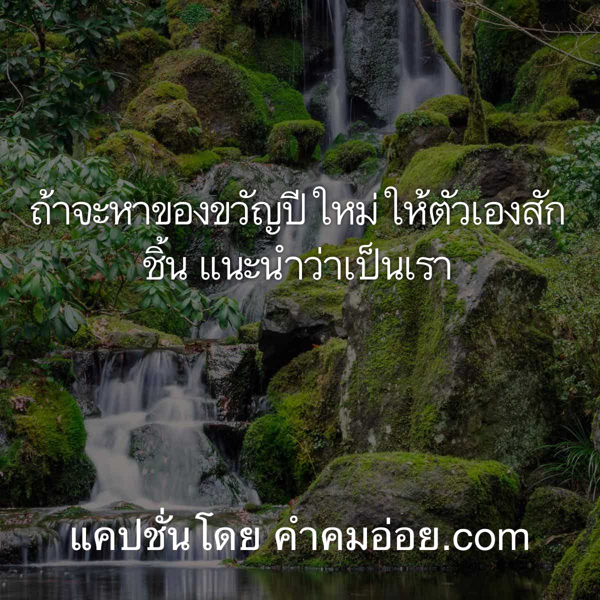 แคปชั่นกิน