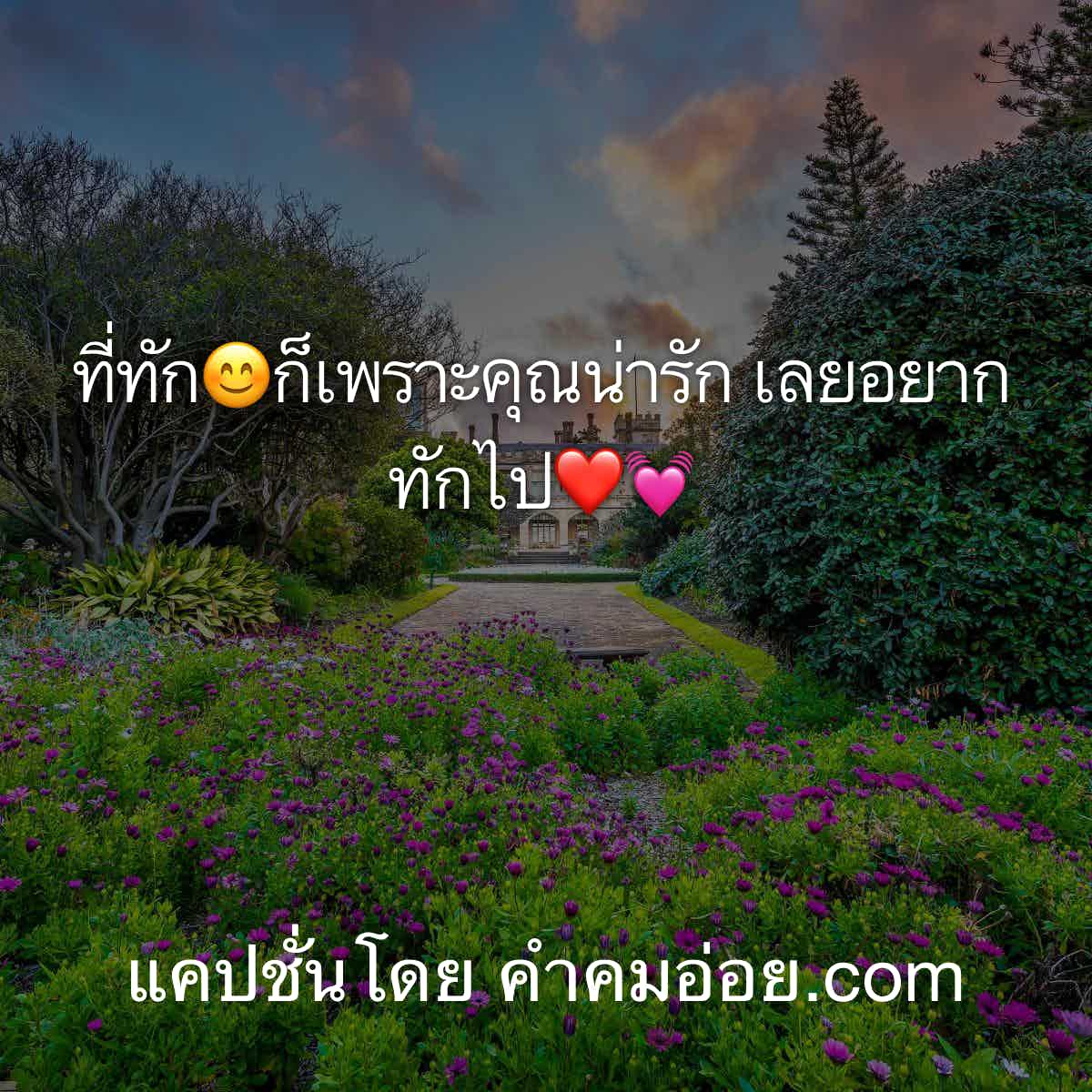 เเคปชั่นอ่อย