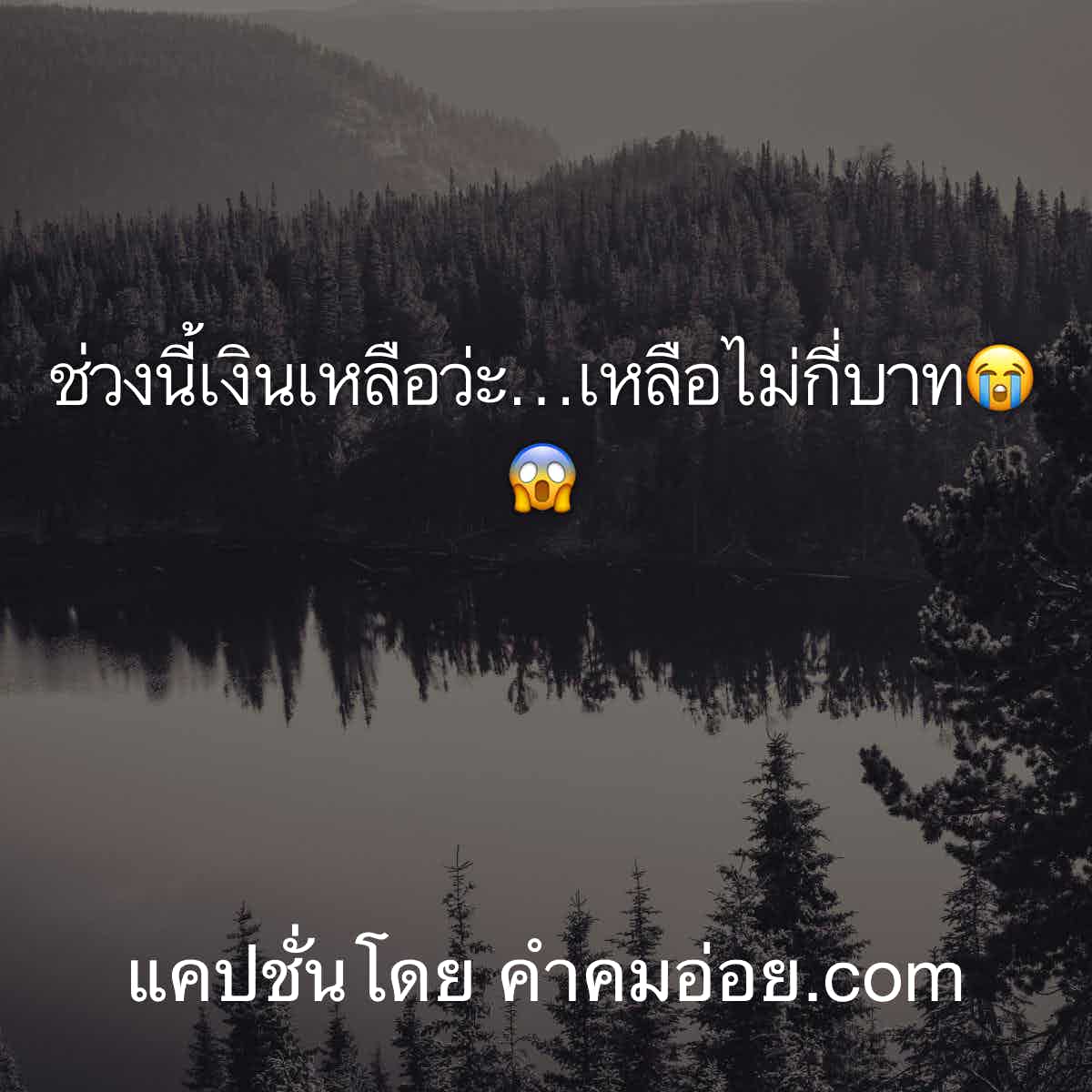 แคปชั่นเด็ดๆ