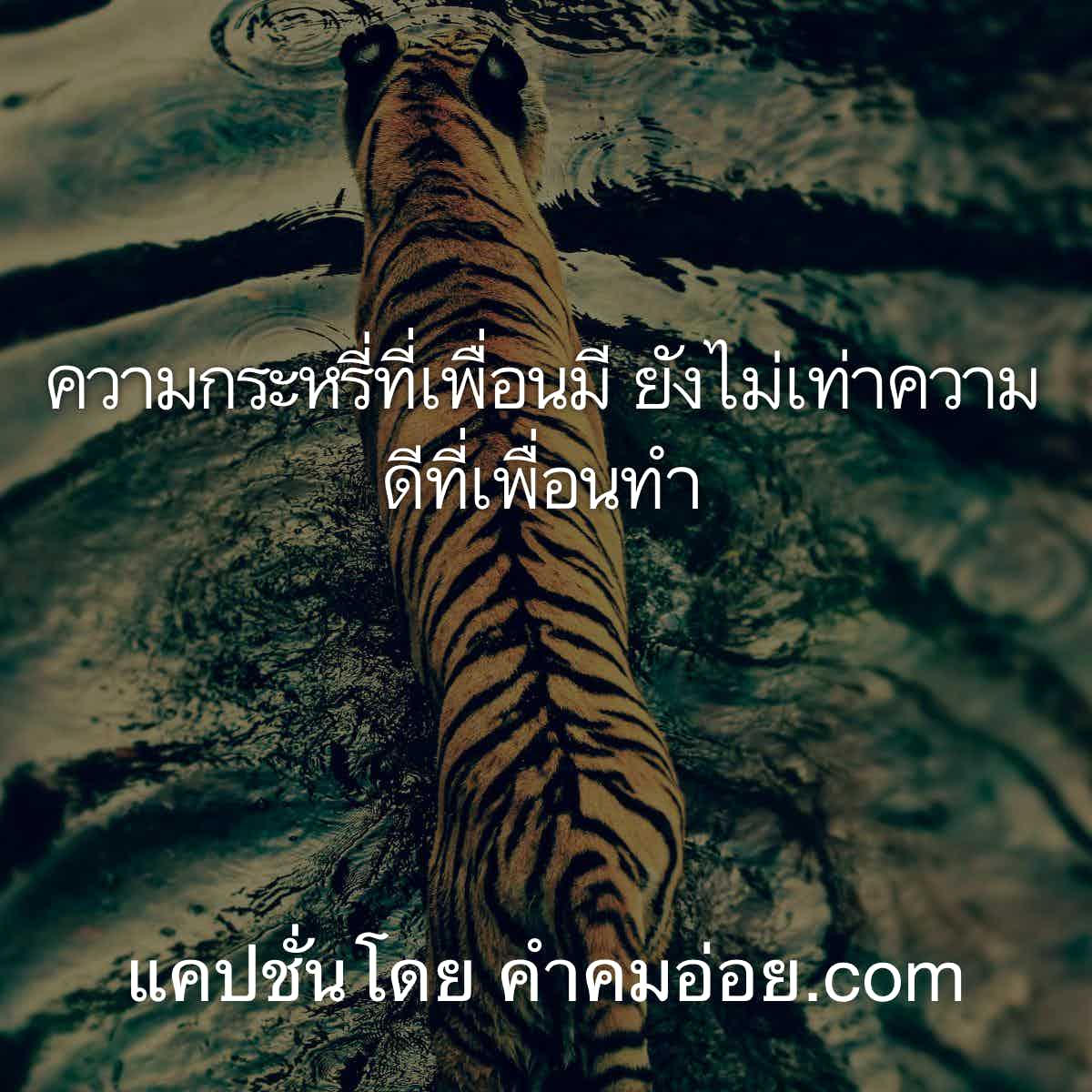 แคปชั่น2019