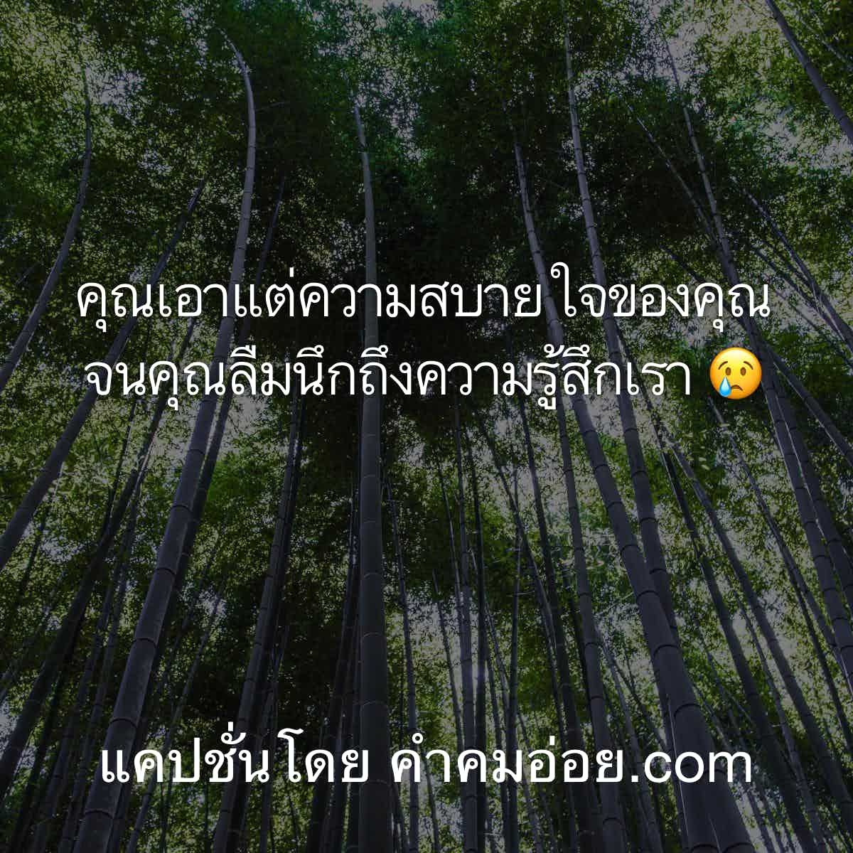 ความรู้สึก