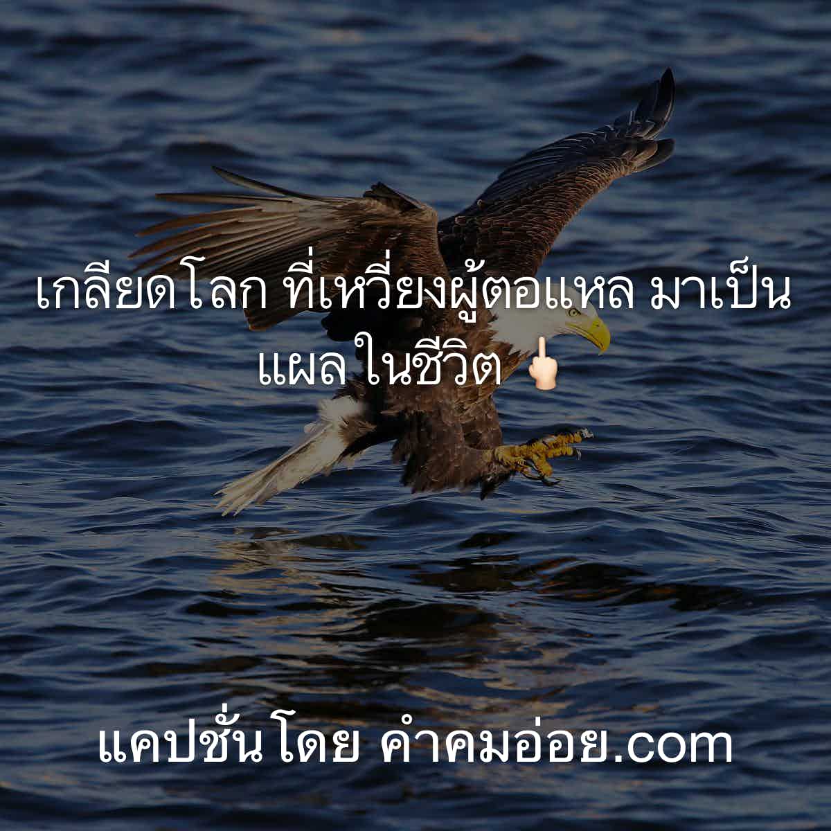 แคปชั่นตลก
