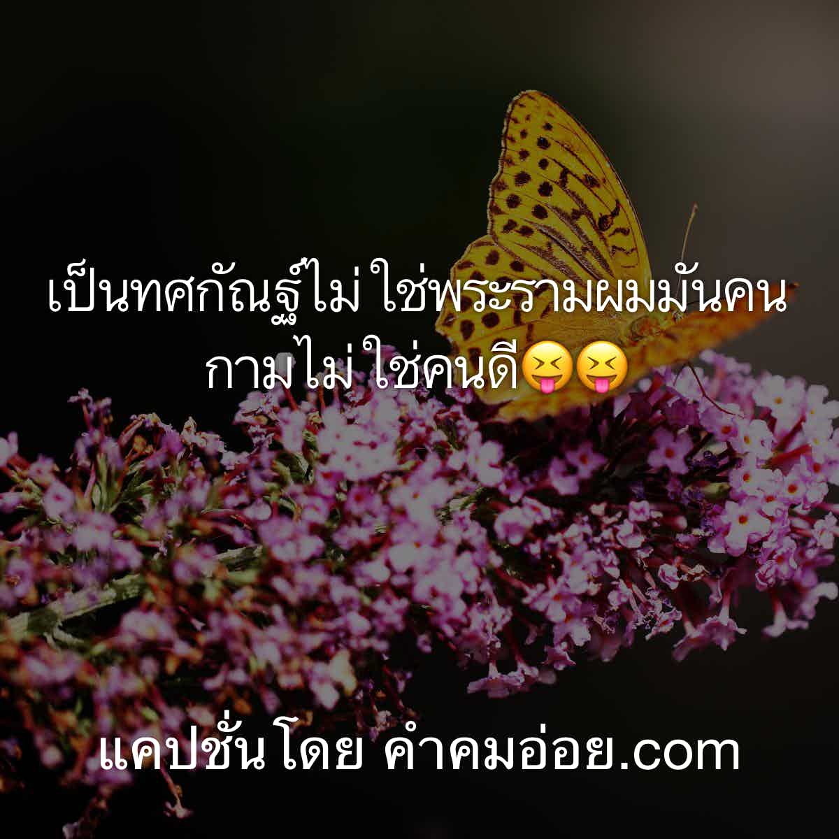 แคปชั่น